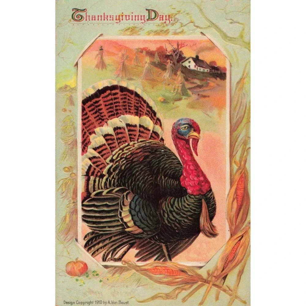 Vintage 1910 Thanksgiving Day Postcard Turkey A Von Beust Embossed Germany 131